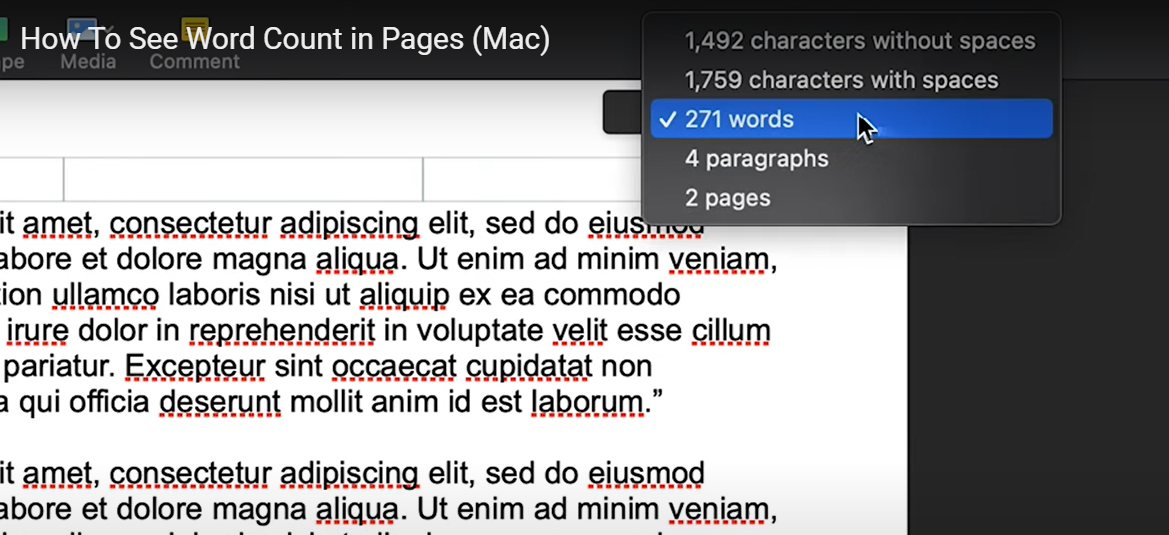 apple pages character count